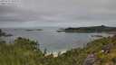 ./images/calvert/foggy-cove/20250724/foggy-cove20250724_095010M.jpg