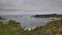 ./images/calvert/foggy-cove/20250724/foggy-cove20250724_095509M.jpg
