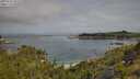 ./images/calvert/foggy-cove/20250724/foggy-cove20250724_101510M.jpg