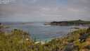 ./images/calvert/foggy-cove/20250724/foggy-cove20250724_102009M.jpg
