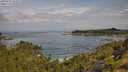 ./images/calvert/foggy-cove/20250724/foggy-cove20250724_102508M.jpg