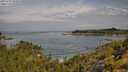 ./images/calvert/foggy-cove/20250724/foggy-cove20250724_103010M.jpg