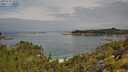 ./images/calvert/foggy-cove/20250724/foggy-cove20250724_104510M.jpg