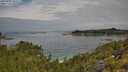 ./images/calvert/foggy-cove/20250724/foggy-cove20250724_105007M.jpg