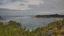 ./images/calvert/foggy-cove/20250724/foggy-cove20250724_105508M.jpg