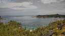./images/calvert/foggy-cove/20250724/foggy-cove20250724_110510M.jpg