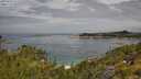 ./images/calvert/foggy-cove/20250724/foggy-cove20250724_111510M.jpg