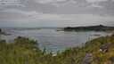./images/calvert/foggy-cove/20250724/foggy-cove20250724_112010M.jpg