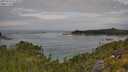 ./images/calvert/foggy-cove/20250724/foggy-cove20250724_113508M.jpg