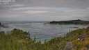 ./images/calvert/foggy-cove/20250724/foggy-cove20250724_114011M.jpg