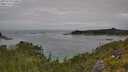 ./images/calvert/foggy-cove/20250724/foggy-cove20250724_120011M.jpg