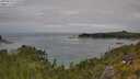 ./images/calvert/foggy-cove/20250724/foggy-cove20250724_120508M.jpg