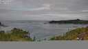 ./images/calvert/foggy-cove/20250724/foggy-cove20250724_121510M.jpg