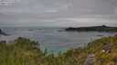 ./images/calvert/foggy-cove/20250724/foggy-cove20250724_122010M.jpg