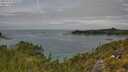 ./images/calvert/foggy-cove/20250724/foggy-cove20250724_122510M.jpg