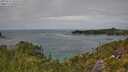 ./images/calvert/foggy-cove/20250724/foggy-cove20250724_133506M.jpg