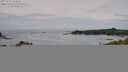 ./images/calvert/foggy-cove/20250724/foggy-cove20250724_142510M.jpg