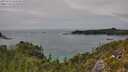 ./images/calvert/foggy-cove/20250724/foggy-cove20250724_144510M.jpg