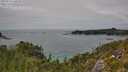 ./images/calvert/foggy-cove/20250724/foggy-cove20250724_145010M.jpg