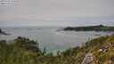 ./images/calvert/foggy-cove/20250724/foggy-cove20250724_152010M.jpg