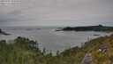 ./images/calvert/foggy-cove/20250724/foggy-cove20250724_152507M.jpg