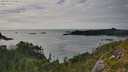 ./images/calvert/foggy-cove/20250724/foggy-cove20250724_174509M.jpg