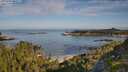 ./images/calvert/foggy-cove/20250725/foggy-cove20250725_085011M.jpg