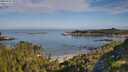 ./images/calvert/foggy-cove/20250725/foggy-cove20250725_090508M.jpg