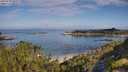 ./images/calvert/foggy-cove/20250725/foggy-cove20250725_092509M.jpg