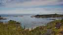 ./images/calvert/foggy-cove/20250725/foggy-cove20250725_100508M.jpg