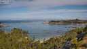 ./images/calvert/foggy-cove/20250725/foggy-cove20250725_102509M.jpg