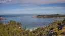 ./images/calvert/foggy-cove/20250725/foggy-cove20250725_103011M.jpg