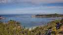 ./images/calvert/foggy-cove/20250725/foggy-cove20250725_103508M.jpg
