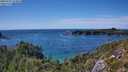 ./images/calvert/foggy-cove/20250725/foggy-cove20250725_154010M.jpg