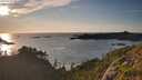 ./images/calvert/foggy-cove/20250725/foggy-cove20250725_201508M.jpg