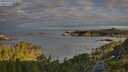./images/calvert/foggy-cove/20250726/foggy-cove20250726_071009M.jpg