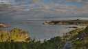 ./images/calvert/foggy-cove/20250726/foggy-cove20250726_071509M.jpg