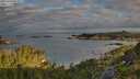 ./images/calvert/foggy-cove/20250726/foggy-cove20250726_072006M.jpg
