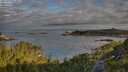 ./images/calvert/foggy-cove/20250726/foggy-cove20250726_074011M.jpg