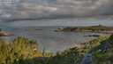 ./images/calvert/foggy-cove/20250726/foggy-cove20250726_080011M.jpg