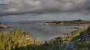 ./images/calvert/foggy-cove/20250726/foggy-cove20250726_080510M.jpg