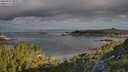 ./images/calvert/foggy-cove/20250726/foggy-cove20250726_081010M.jpg