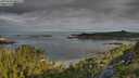 ./images/calvert/foggy-cove/20250726/foggy-cove20250726_081511M.jpg