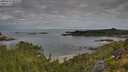 ./images/calvert/foggy-cove/20250726/foggy-cove20250726_082510M.jpg