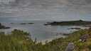 ./images/calvert/foggy-cove/20250726/foggy-cove20250726_083509M.jpg
