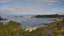 ./images/calvert/foggy-cove/20250726/foggy-cove20250726_091009M.jpg