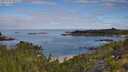 ./images/calvert/foggy-cove/20250726/foggy-cove20250726_091509M.jpg