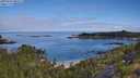 ./images/calvert/foggy-cove/20250726/foggy-cove20250726_092509M.jpg