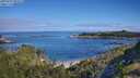 ./images/calvert/foggy-cove/20250726/foggy-cove20250726_095008M.jpg