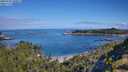 ./images/calvert/foggy-cove/20250726/foggy-cove20250726_100011M.jpg